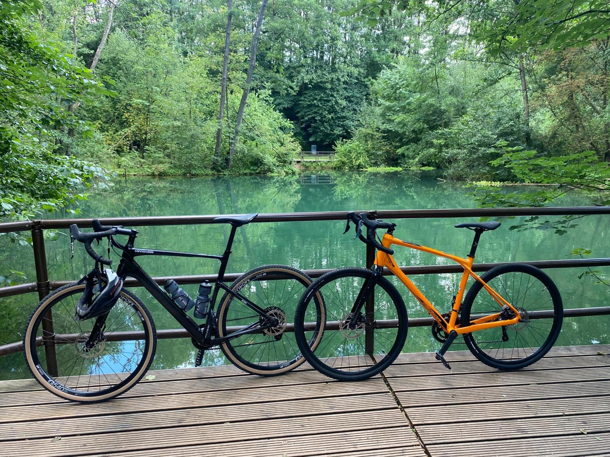 Ferienwohnung Sued - West Harz Mit Sauna E-Bikes Vorhanden! Horden am Harz Екстериор снимка